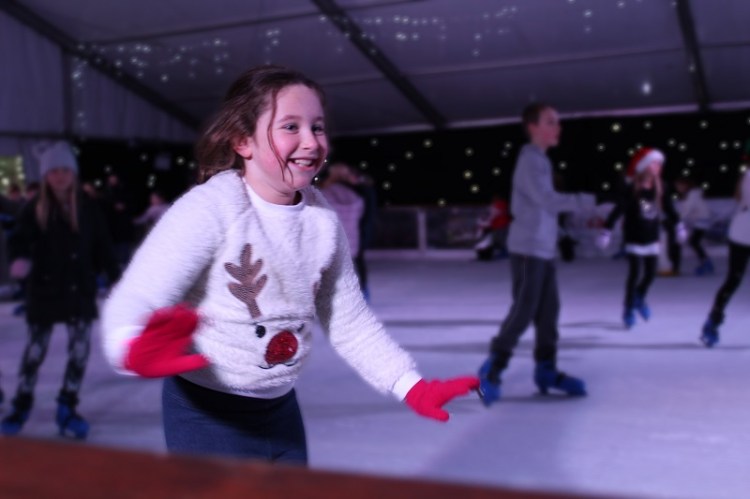 IMG_1730 (Blur Background) resized